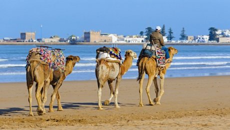Morocco-family-holiday-Essaouira-beach-camel-rides