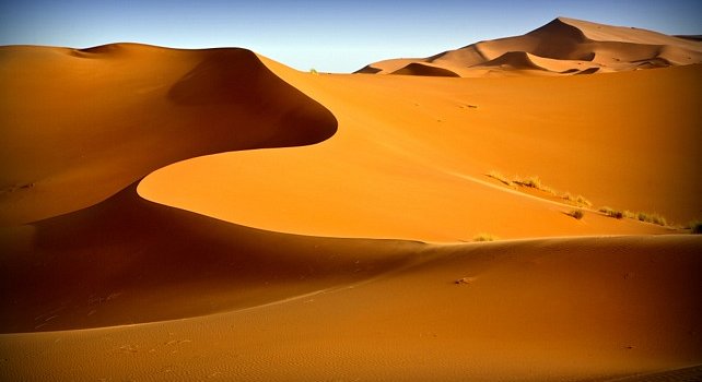 [Imagen: sahara-desert-generic-dunes-landscape-sl...42h350.jpg]